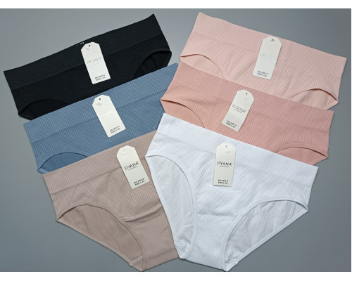 УЦІНКА! Сліпи жіночі Dyana Intimates 3901-6(У)